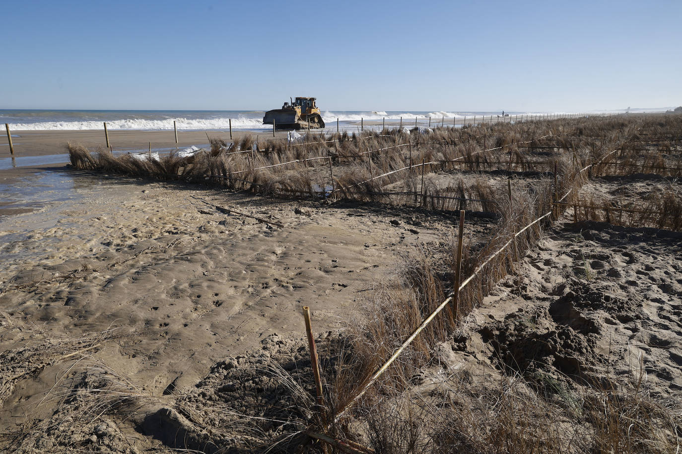 El mar entra en las nuevas dunas de las playas regeneradas en El Saler