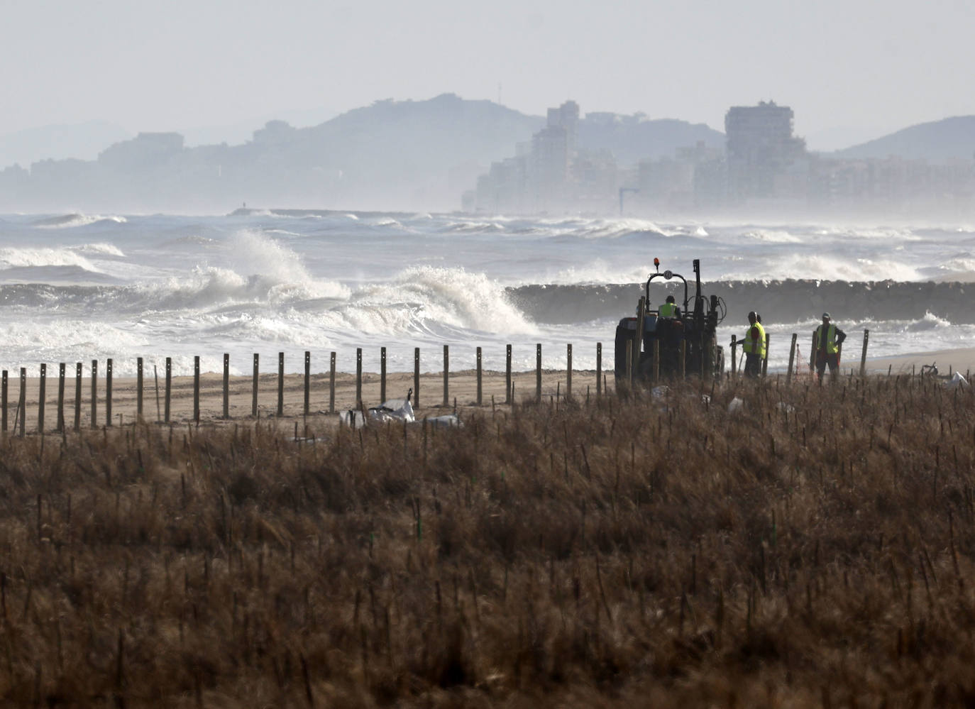 El mar entra en las nuevas dunas de las playas regeneradas en El Saler