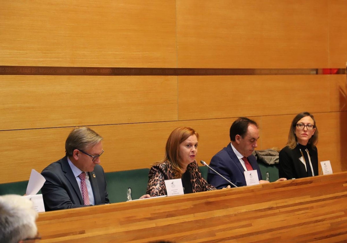 Reme Mazzolari interviene durante la celebración del consejo rector.