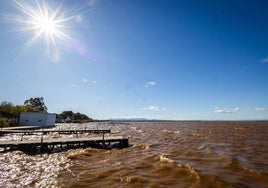 Vista de la Albufera con las aguas de color marrón.