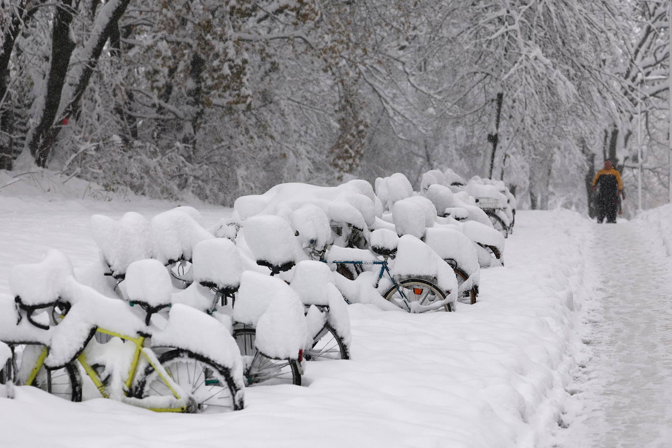 Múnich, sepultada bajo la nieve