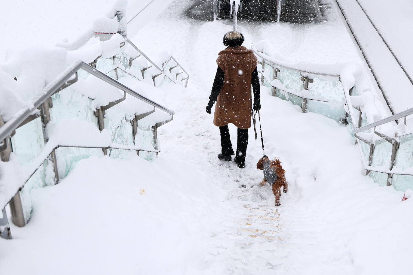 Múnich, sepultada bajo la nieve