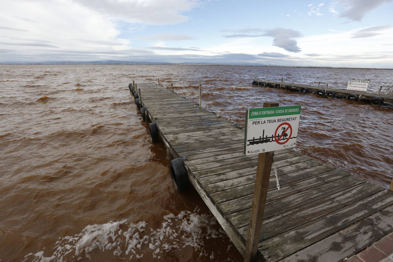 El agua de la Albufera sigue marrón