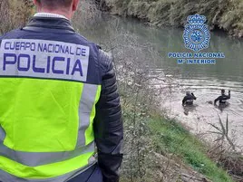 Los GEO recorren el cauce del río.