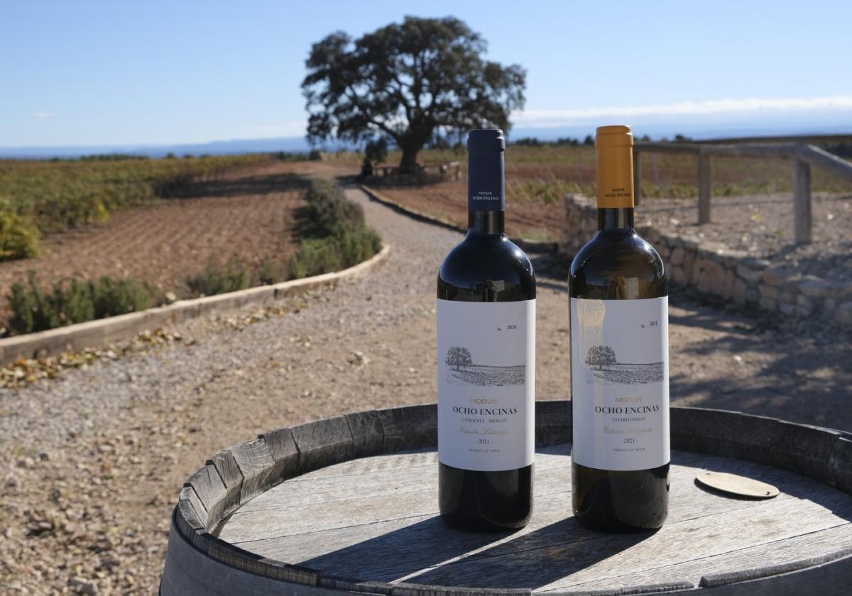 Bodegas Nodus presenta sus nuevos vinos Ocho Encinas