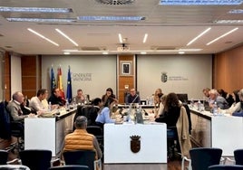 Pleno del Ayuntamiento.