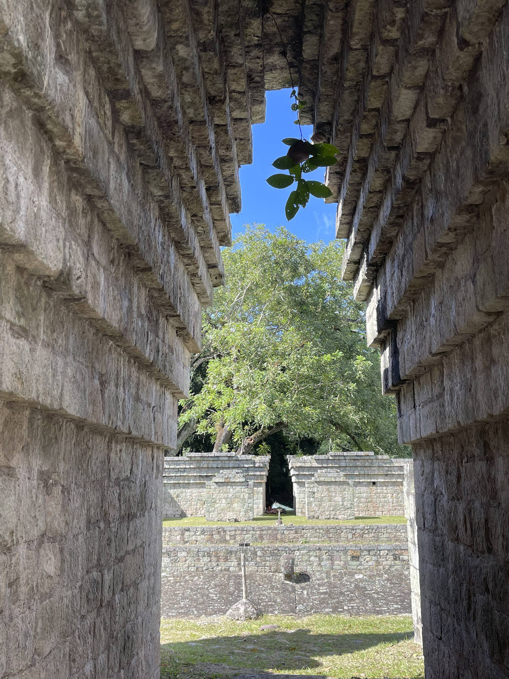 Las Ruinas de Copán: el parque arqueológico maya de Honduras está en peligro