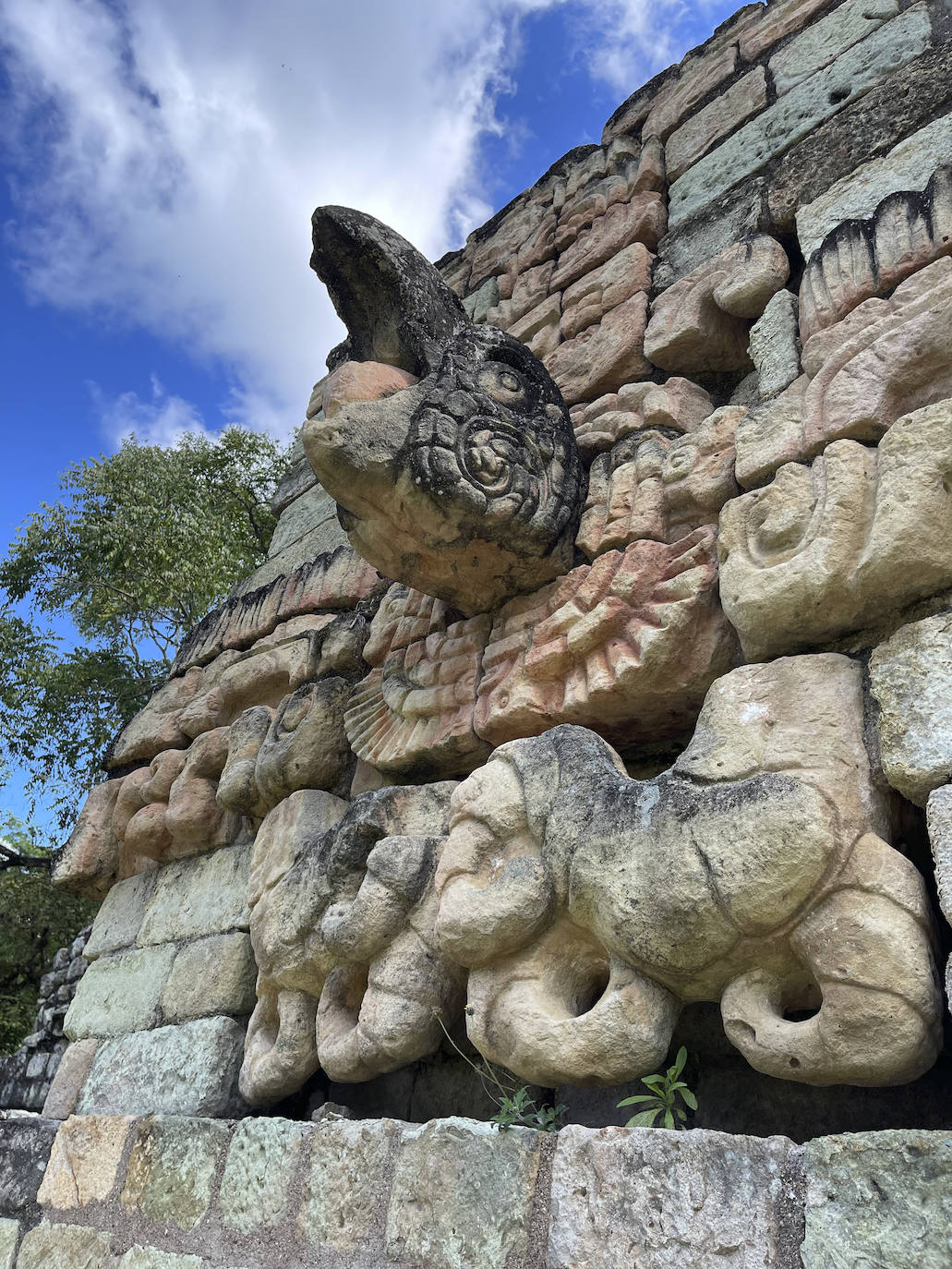 Las Ruinas de Copán: el parque arqueológico maya de Honduras está en peligro