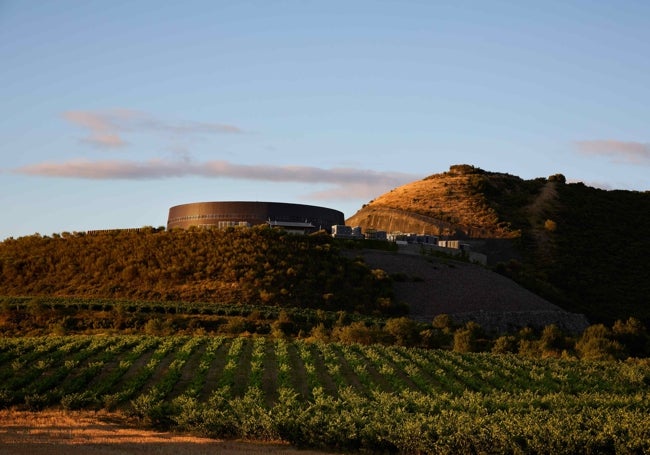 Bodega en el Cerro de la Mesa