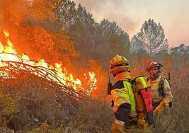 Dos bomberos trabajando en las labores de extinción.