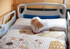 Las nuevas colchas y los cojines de las camas de la planta de Pediatría del Lluís Alcanyís.