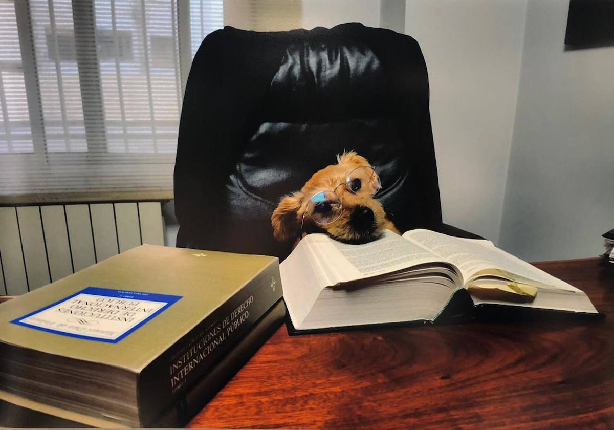 Panky, la mascota ganadora del concurso del Colegio de Abogados de Valencia.