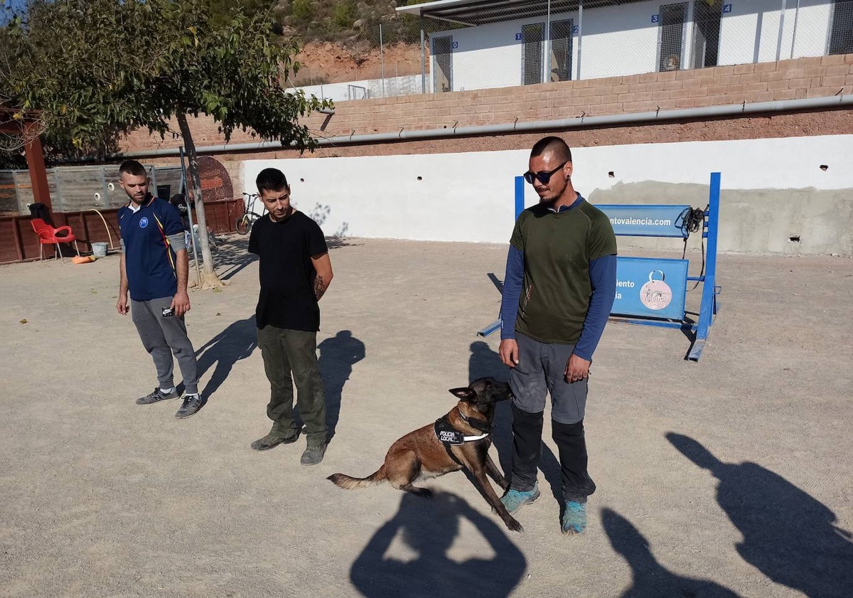 Imagen principal - Para el entrenamiento en Adiestramiento Valencia K9, Víctor Garrido acudió con un maletín de estupefacientes autorizado por el juzgado.