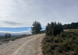 Pista principal del ascenso hacia el mirador de Peñas Blancas.