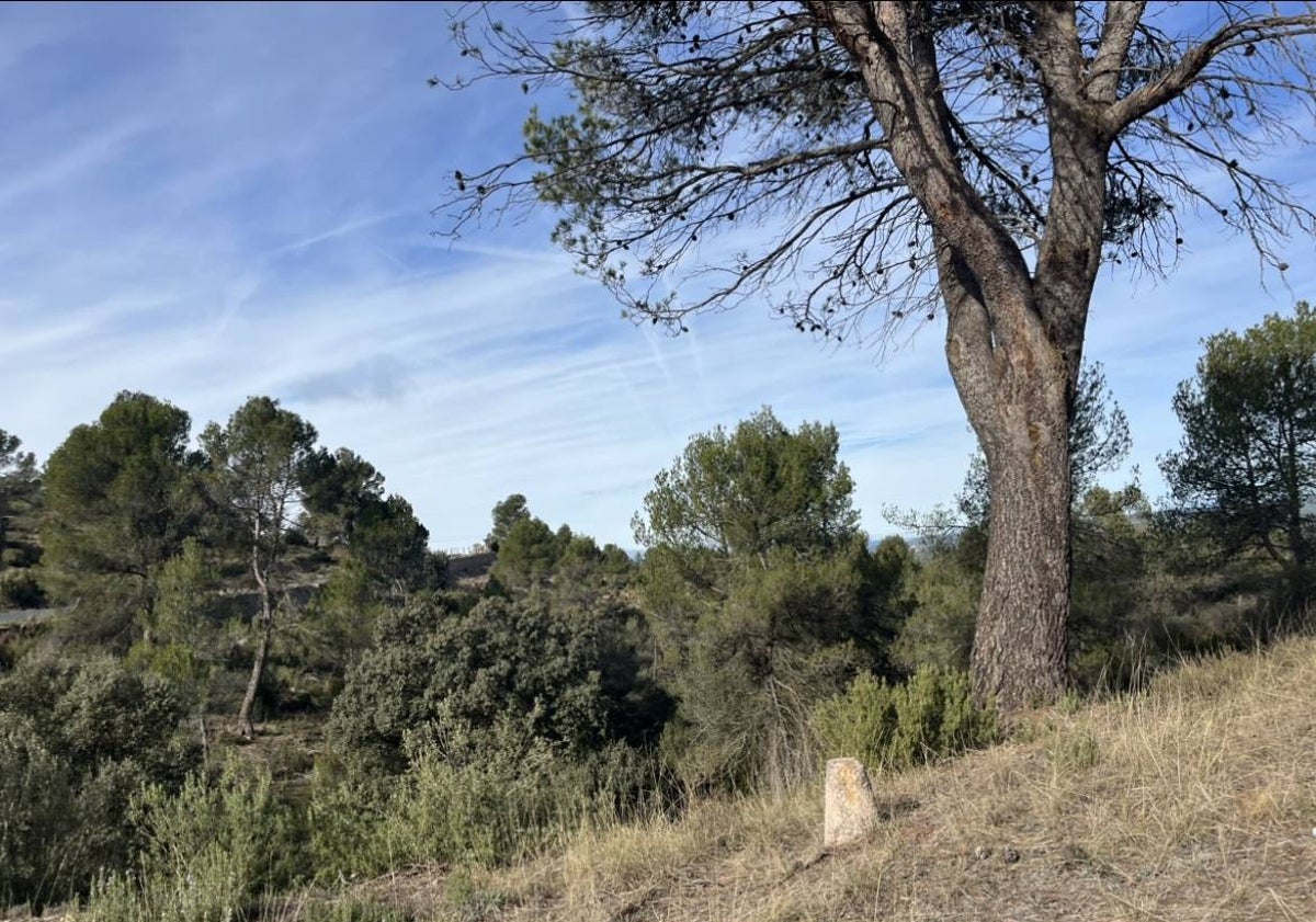 Imagen principal - Señalización del Parque Natural de las Hoces del Cabriel.