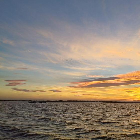 Cómo suena la Albufera de Valencia