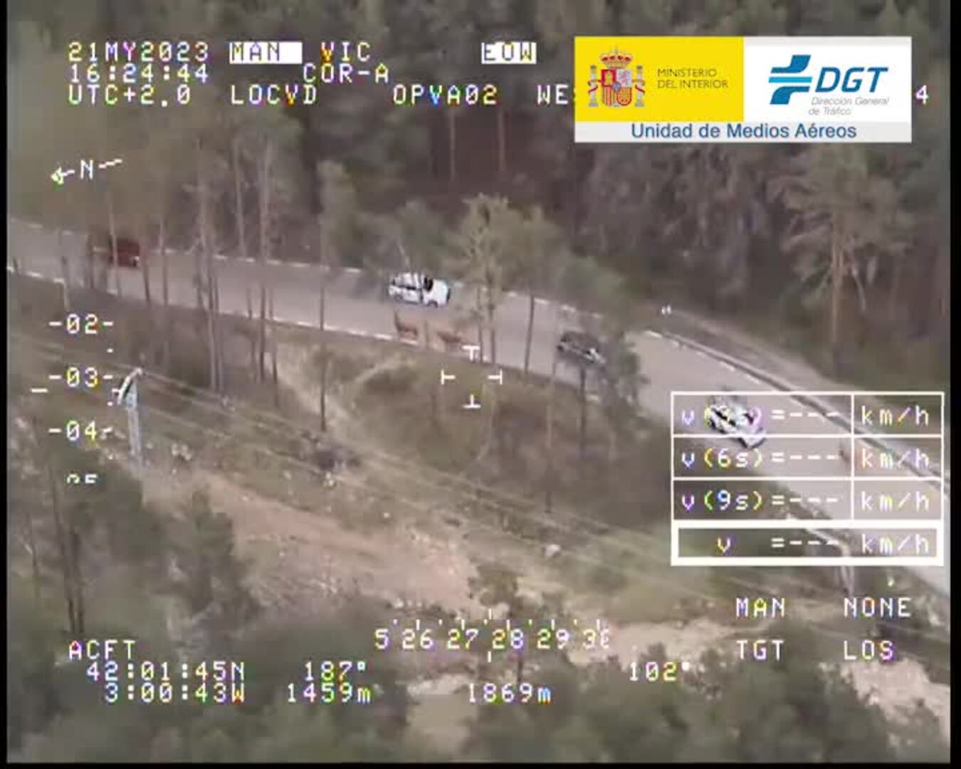 La DGT publica vídeos del riesgo de accidentes en carretera por la aparición de animales