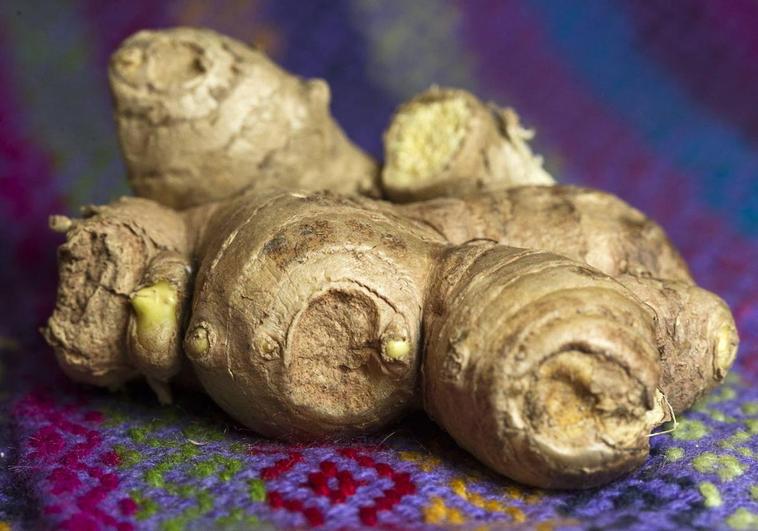 Este alimento es utilizado para infusiones, como guarnición e incluso como remedio natural.