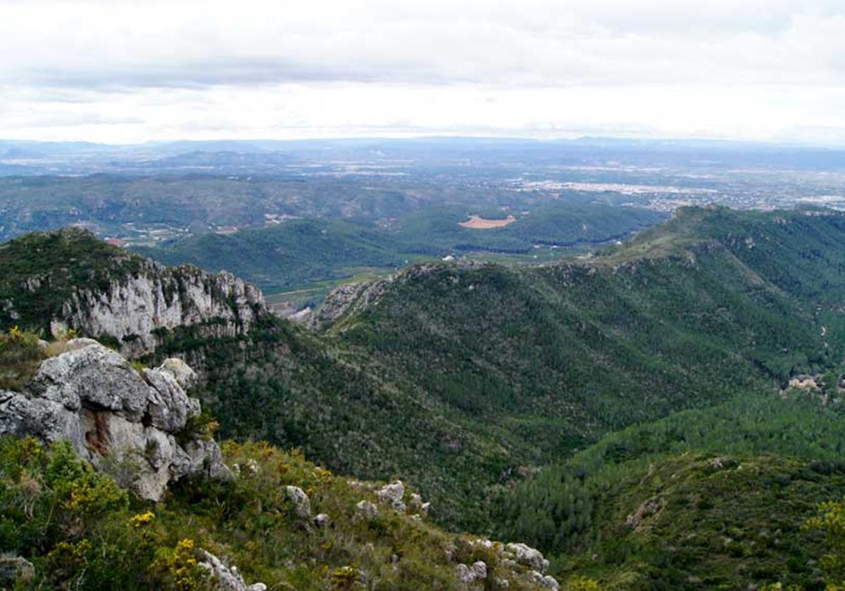 Paraje natural de la Murta.