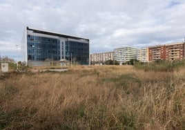 Parcela donde se levantarán los edificios.