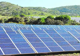 Un parque fotovoltaico.