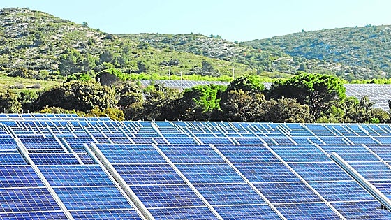 El 80% de la producción de almendra de Alcublas, en riesgo por la planta solar de Enerhi
