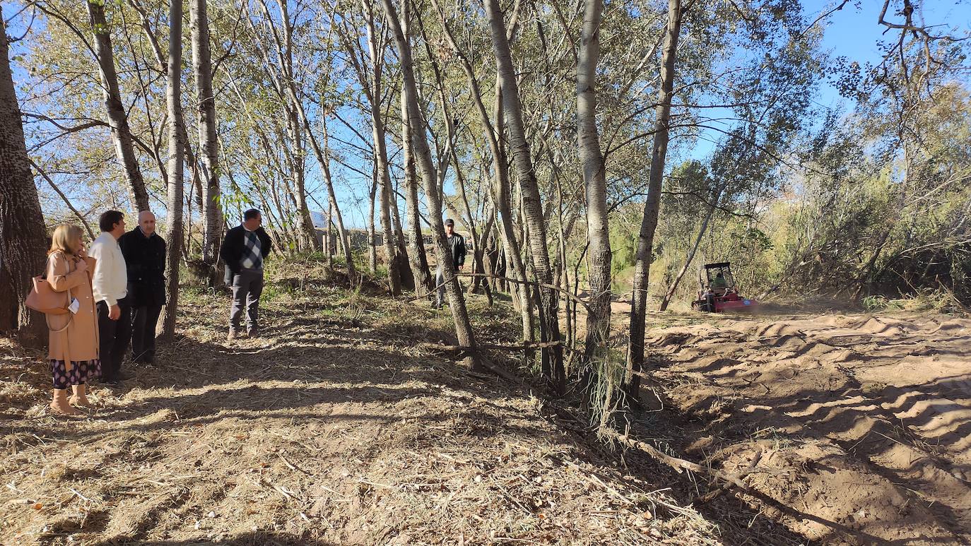 Trabajos para eliminar la caña en Alzira.