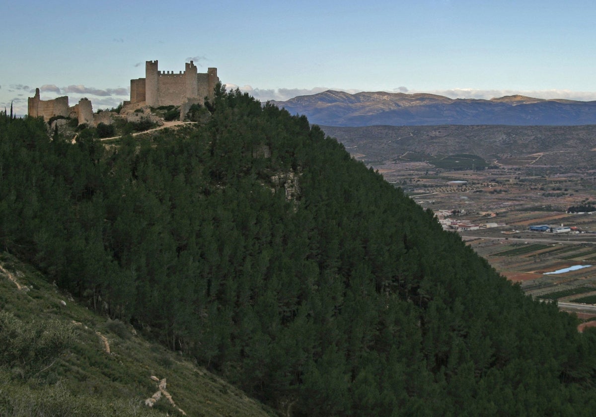 Panorámica del castillo de Santa Magdalena de Pulpis.