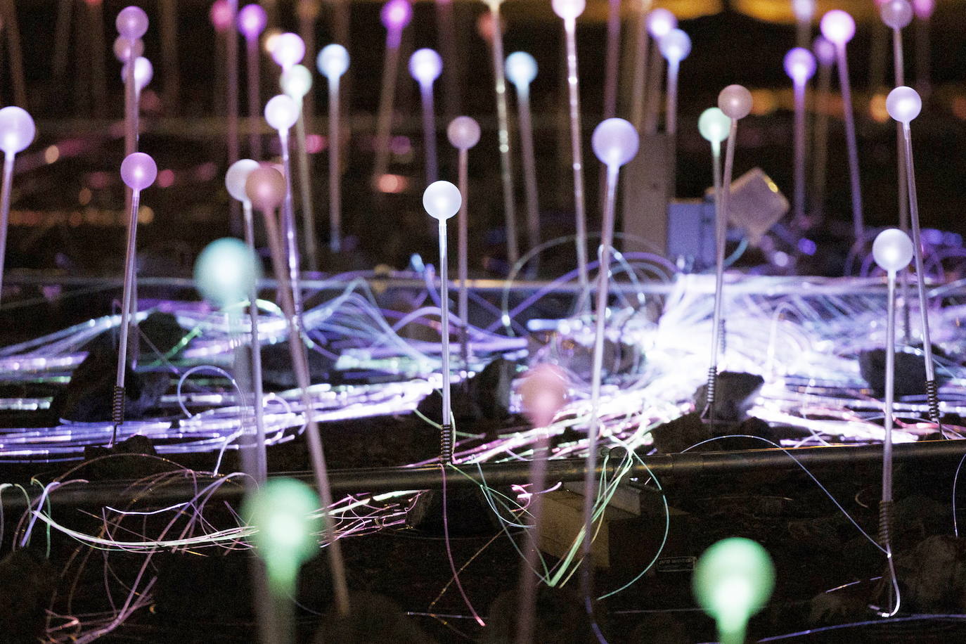 La Freedom Plaza de Nueva York se ilumina con una instalación de Bruce Munro