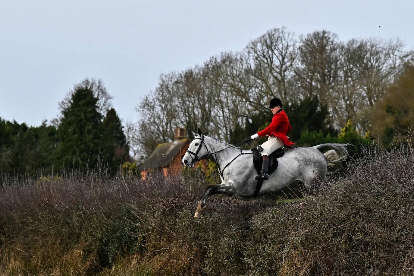 Reino Unido celebra el tradicional día de cacería Boxing Day