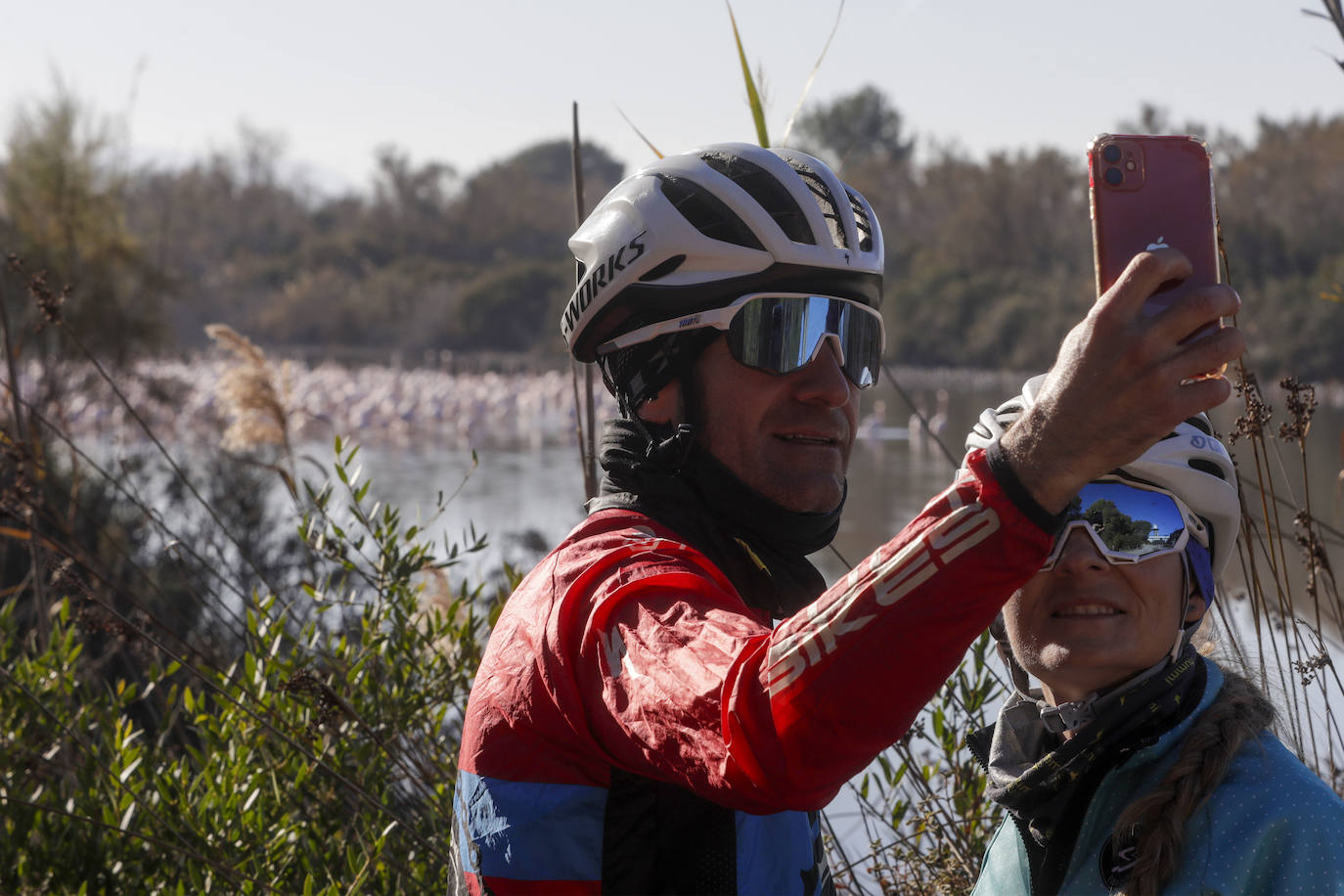 La Albufera se llena de visitantes para ver a los flamencos