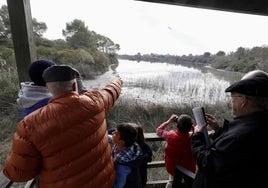 Unos visitantes ayer en el Racó de l'Olla sin flamencos.