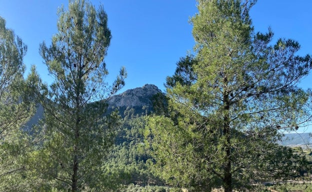 Vistas desde uno de los puntos de la ruta. 