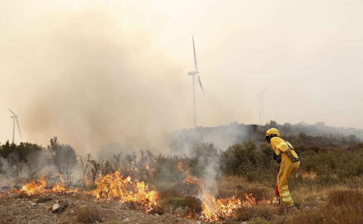 Tareas de extinción del incendio de Bejís, este pasado verano. 