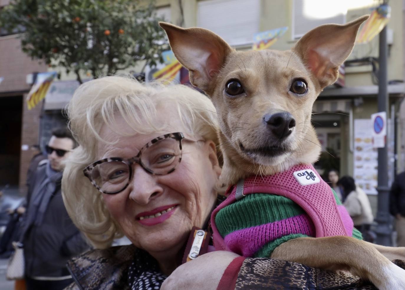 Cientos de personas se han acercado hasta la calle Sagunto en Valencia para bendecir a sus animales en honor al patrón, San Antonio Abad