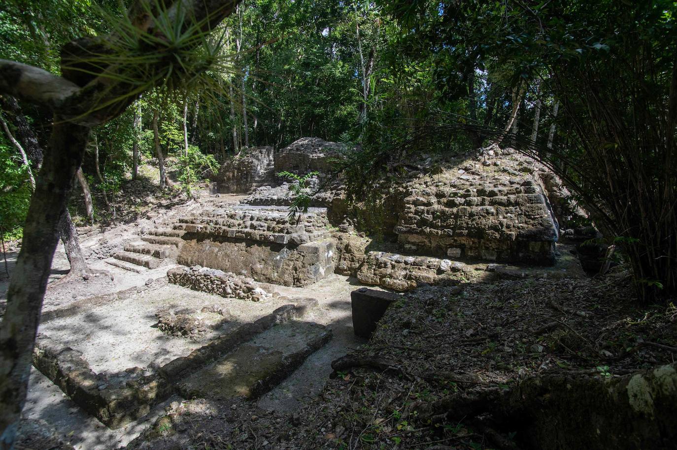 Selva de Guatemala | Tesoros milenarios que esconde la selva