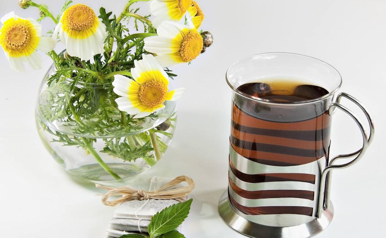 Las infusiones tienen grandes beneficios para nuestro cuerpo. 