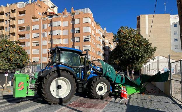 Retirada de naranjas. 