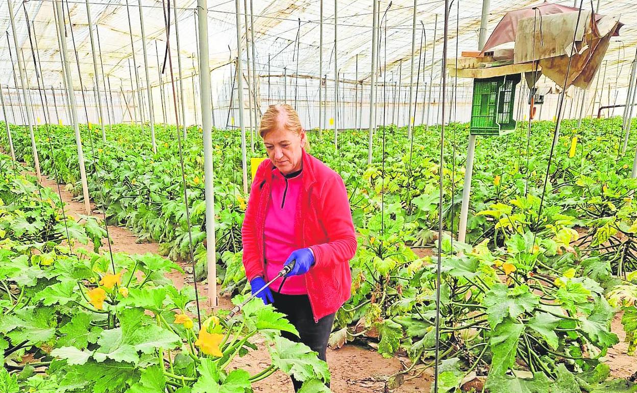 Mari Antón trabaja en su invernadero. 