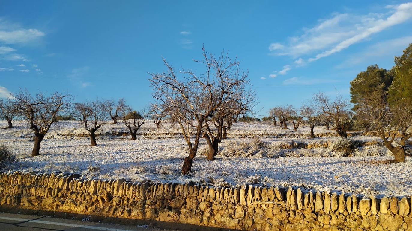 Fotos: La nieve llega al interior de Valencia