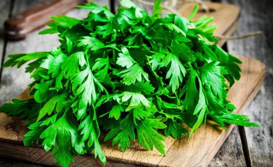 El cilantro es una planta con una gran cantidad de beneficios para el cuerpo. 