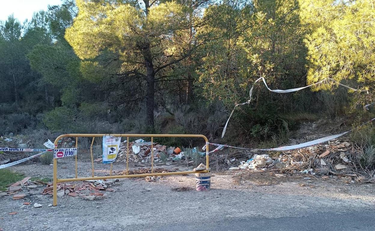 Parte de los residuos acumulados en la zona. 