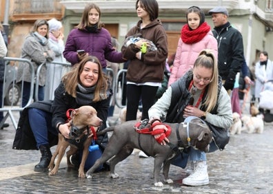 Imagen secundaria 1 - Los caballos reciben la bendición en Albal y los perros en Paterna. 