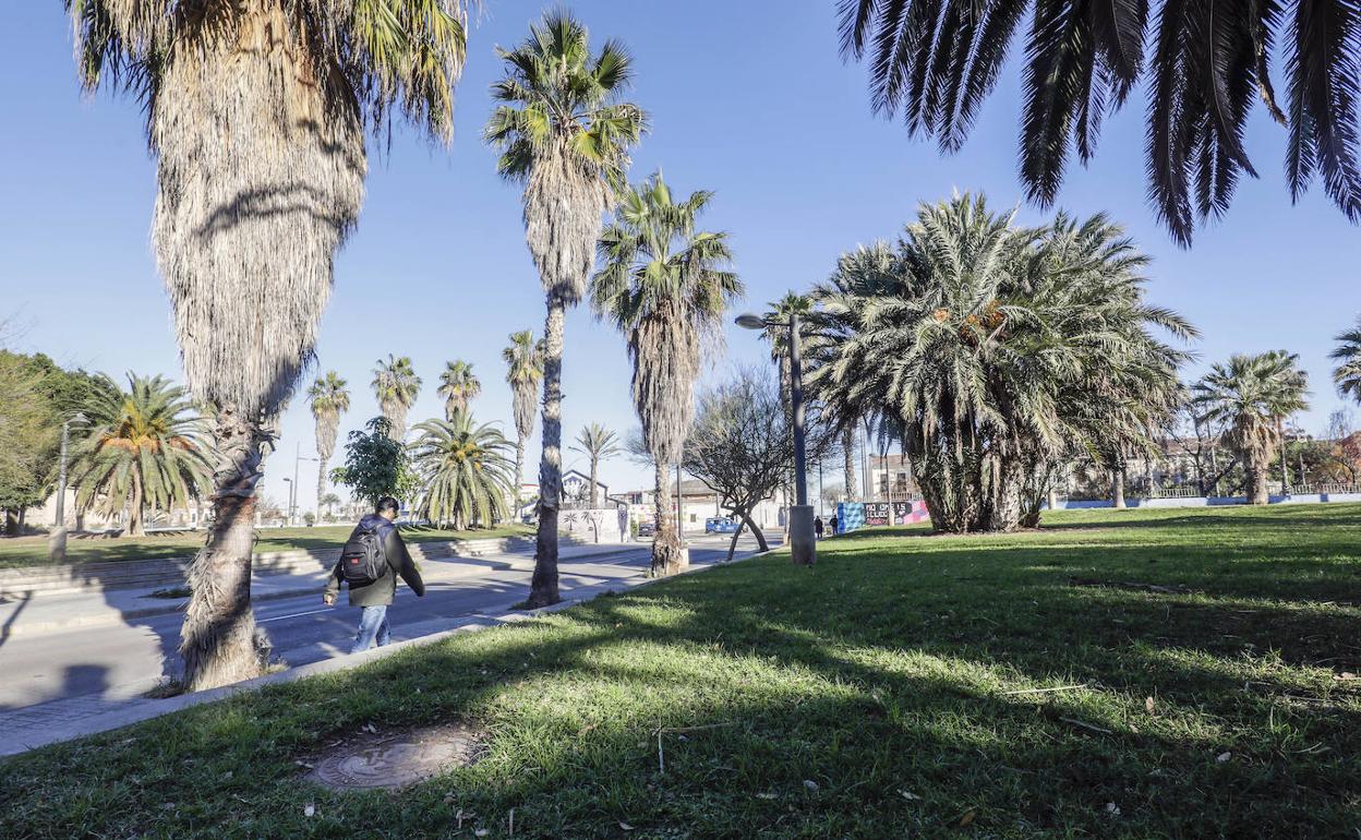 Jardín en la calle Doctor Lluch, en una imagen reciente. 