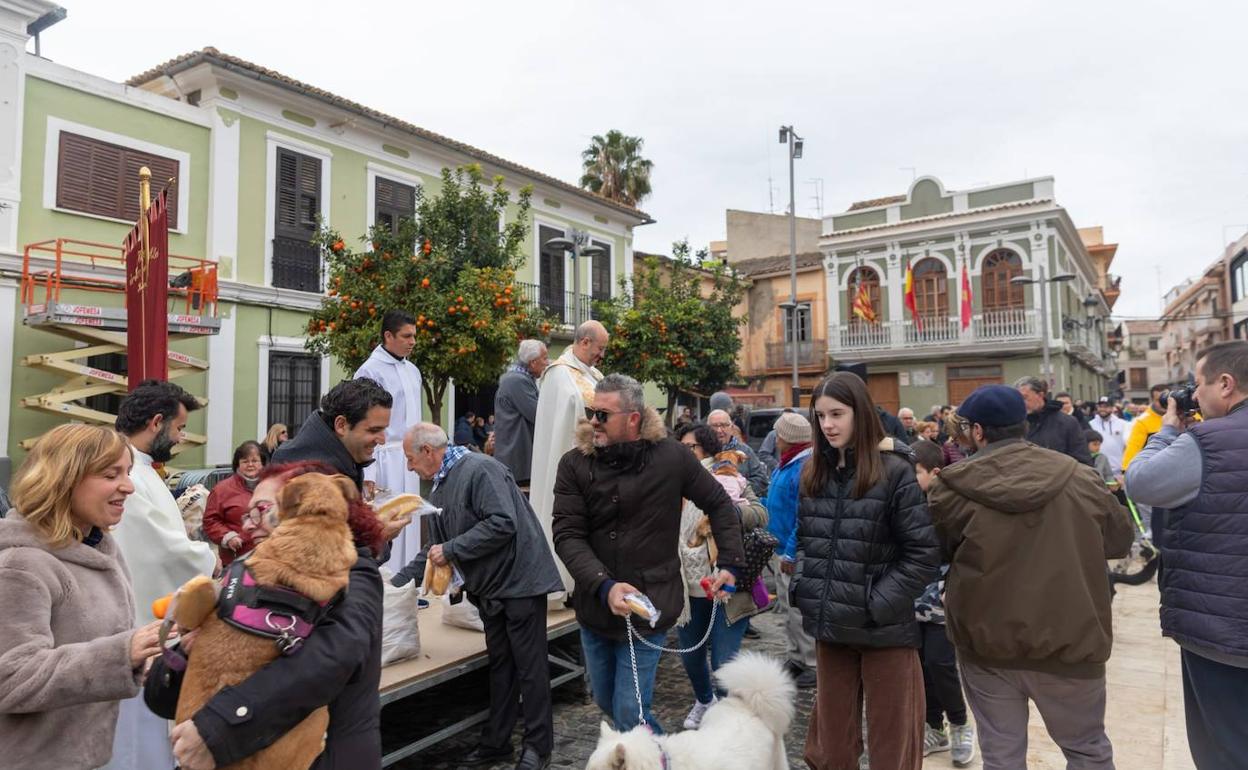 La bendición de animales en Paterna. 