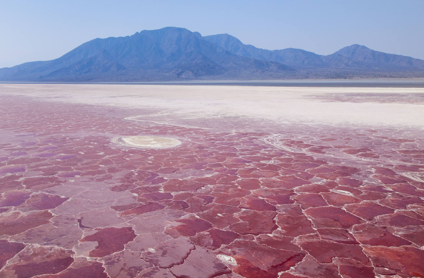 Lago Natron (Tanzania).