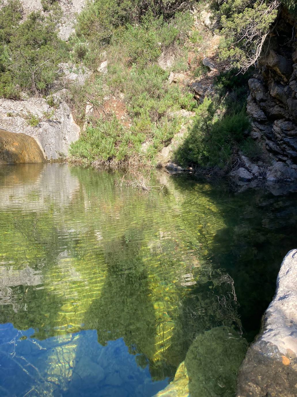 Fotos: El mayor parque solar de la Comunitat, paralizado