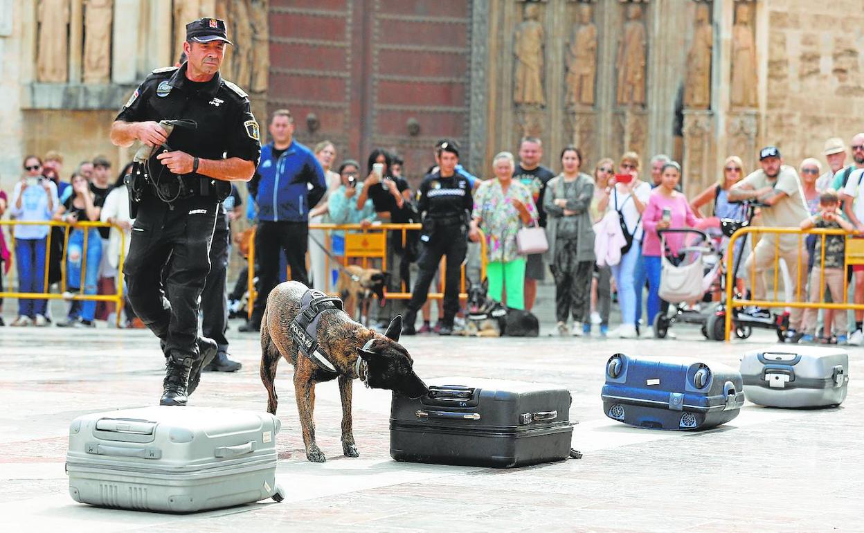 Un policía con un perro antidroga en la Plaza de la Virgen. 