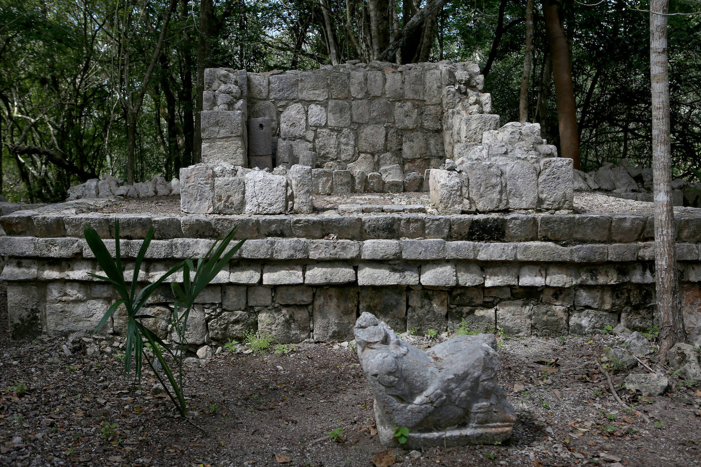 Fotos: Fascinante descubrimiento maya: encuentran la tumba de un personaje de la élite