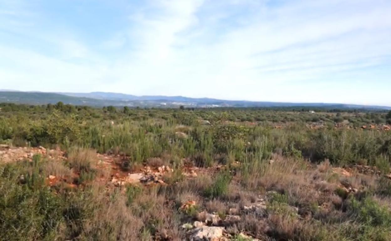 Lugar donde se proyecta la planta solar fotovoltaica. 